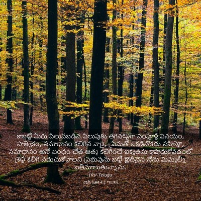 Picture 03 - ఎఫెసీ పత్రిక 4:2 TELIRV - కాబట్టి మీరు - Bible Verse Picture