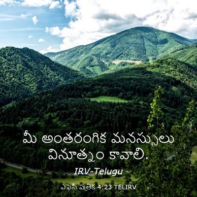 Picture 03 - ఎఫెసీ పత్రిక 4:23 TELIRV - మీ అంతరంగిక - Bible Verse Picture