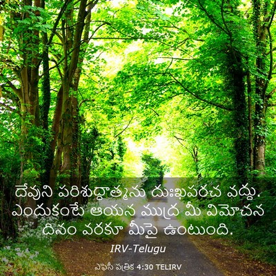 Picture 03 - ఎఫెసీ పత్రిక 4:30 TELIRV - దేవుని - Bible Verse Picture