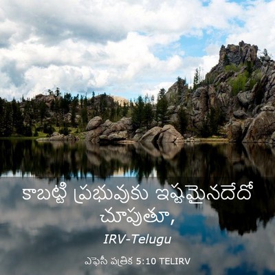 Picture 03 - ఎఫెసీ పత్రిక 5:10 TELIRV - కాబట్టి ప్రభువుకు - Bible Verse Picture