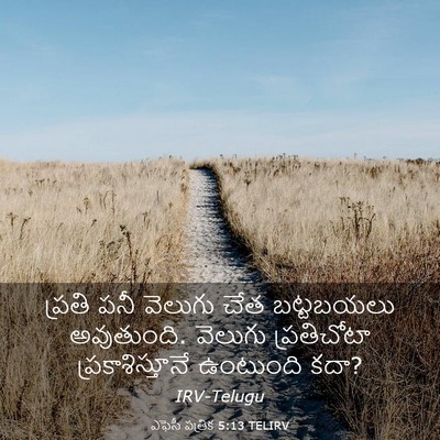 Picture 03 - ఎఫెసీ పత్రిక 5:13 TELIRV - ప్రతి పనీ వెలుగు - Bible Verse Picture