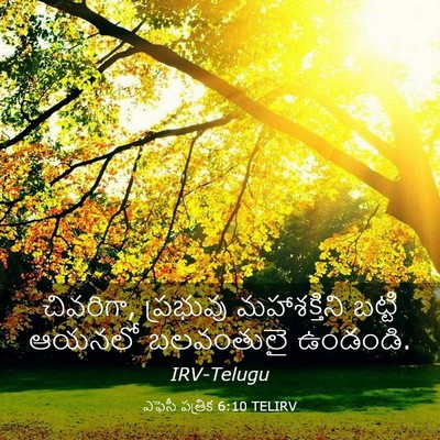Picture 03 - ఎఫెసీ పత్రిక 6:10 TELIRV - చివరిగా, ప్రభువు - Bible Verse Picture