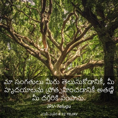 Picture 03 - ఎఫెసీ పత్రిక 6:22 TELIRV - మా సంగతులు మీరు - Bible Verse Picture