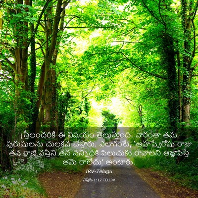 Picture 03 - ఎస్తేరు 1:17 TELIRV - స్త్రీలందరికీ ఈ - Bible Verse Picture
