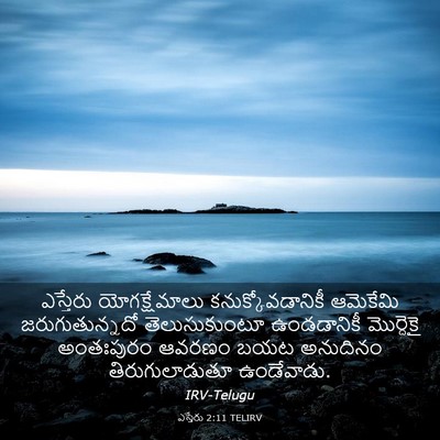 Picture 03 - ఎస్తేరు 2:11 TELIRV - ఎస్తేరు - Bible Verse Picture