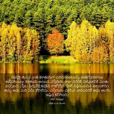 Picture 03 - ఎస్తేరు 2:15 TELIRV - మొర్దెకై తన స్వంత - Bible Verse Picture