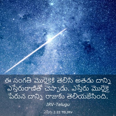 Picture 03 - ఎస్తేరు 2:22 TELIRV - ఈ సంగతి - Bible Verse Picture
