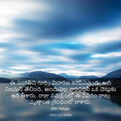 Picture 03 - ఎస్తేరు 2:23 TELIRV - ఈ సంగతిని గూర్చి - Bible Verse Picture
