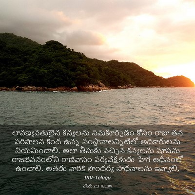 Picture 03 - ఎస్తేరు 2:3 TELIRV - లావణ్యవతులైన - Bible Verse Picture