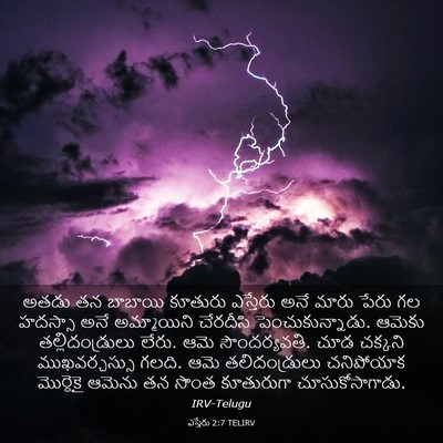 Picture 03 - ఎస్తేరు 2:7 TELIRV - అతడు తన బాబాయి - Bible Verse Picture