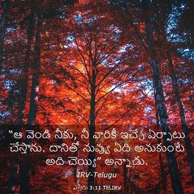 Picture 03 - ఎస్తేరు 3:11 TELIRV - “ఆ వెండి నీకు, నీ - Bible Verse Picture