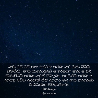 Picture 03 - ఎస్తేరు 3:4 TELIRV - వారు పదే పదే అలా - Bible Verse Picture