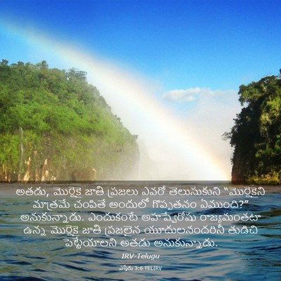 Picture 03 - ఎస్తేరు 3:6 TELIRV - అతడు, మొర్దెకై - Bible Verse Picture