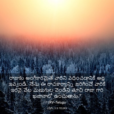 Picture 03 - ఎస్తేరు 3:9 TELIRV - రాజుకు - Bible Verse Picture