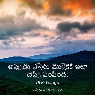 Picture 03 - ఎస్తేరు 4:15 TELIRV - అప్పుడు ఎస్తేరు - Bible Verse Picture