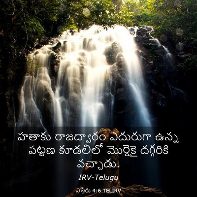 Picture 03 - ఎస్తేరు 4:6 TELIRV - హతాకు రాజద్వారం - Bible Verse Picture