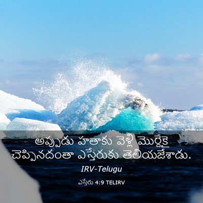Picture 03 - ఎస్తేరు 4:9 TELIRV - అప్పుడు హతాకు - Bible Verse Picture