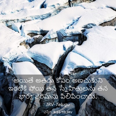 Picture 03 - ఎస్తేరు 5:10 TELIRV - అయితే అతడు కోపం - Bible Verse Picture
