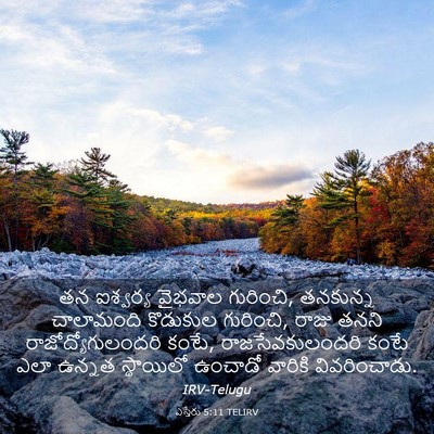 Picture 03 - ఎస్తేరు 5:11 TELIRV - తన ఐశ్వర్య వైభవాల - Bible Verse Picture