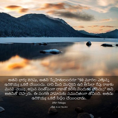 Picture 03 - ఎస్తేరు 5:14 TELIRV - అతని భార్య జెరెషు, - Bible Verse Picture