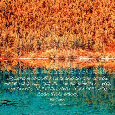 Picture 03 - ఎస్తేరు 5:2 TELIRV - ఎస్తేరురాణి - Bible Verse Picture