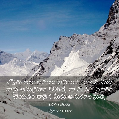 Picture 03 - ఎస్తేరు 5:7 TELIRV - ఎస్తేరు ఇలా బదులు - Bible Verse Picture