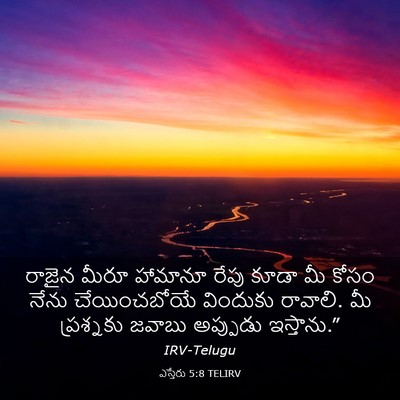 Picture 03 - ఎస్తేరు 5:8 TELIRV - రాజైన మీరూ హామానూ - Bible Verse Picture