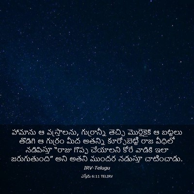 Picture 03 - ఎస్తేరు 6:11 TELIRV - హామాను ఆ - Bible Verse Picture