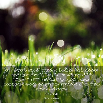 Picture 03 - ఎస్తేరు 7:7 TELIRV - రాజు పట్టరాని - Bible Verse Picture