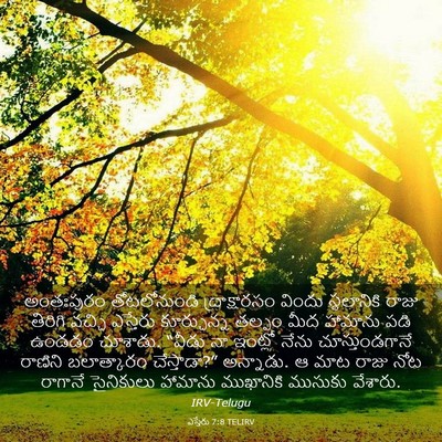 Picture 03 - ఎస్తేరు 7:8 TELIRV - అంతఃపురం - Bible Verse Picture