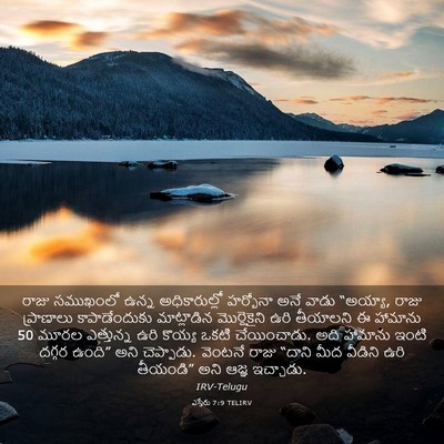 Picture 03 - ఎస్తేరు 7:9 TELIRV - రాజు సముఖంలో ఉన్న - Bible Verse Picture