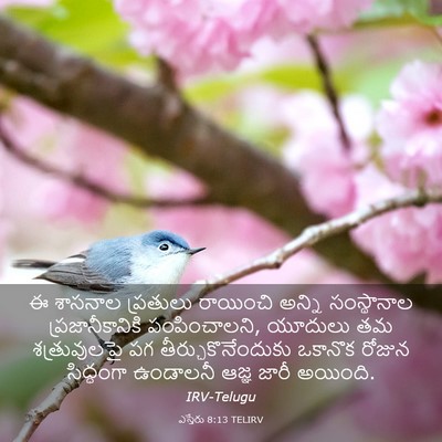 Picture 03 - ఎస్తేరు 8:13 TELIRV - ఈ శాసనాల ప్రతులు - Bible Verse Picture