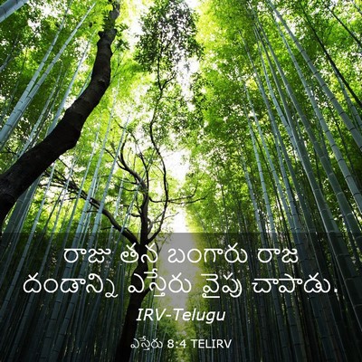 Picture 03 - ఎస్తేరు 8:4 TELIRV - రాజు తన బంగారు రాజ - Bible Verse Picture