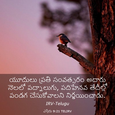 Picture 03 - ఎస్తేరు 9:21 TELIRV - యూదులు ప్రతి - Bible Verse Picture