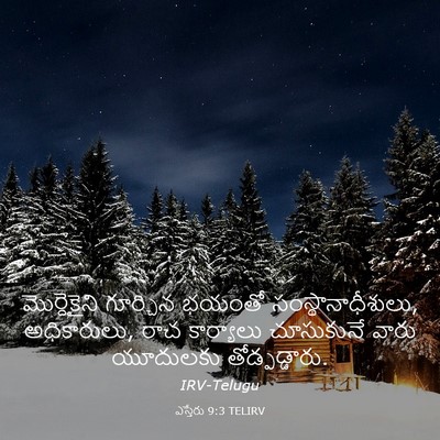 Picture 03 - ఎస్తేరు 9:3 TELIRV - మొర్దెకైని - Bible Verse Picture