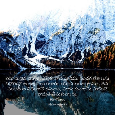 Picture 03 - ఎస్తేరు 9:31 TELIRV - యూదుడైన మొర్దెకై, - Bible Verse Picture