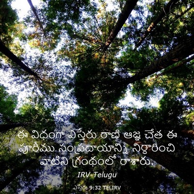 Picture 03 - ఎస్తేరు 9:32 TELIRV - ఈ విధంగా ఎస్తేరు - Bible Verse Picture