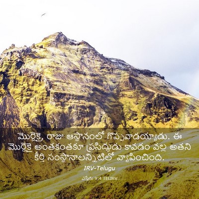 Picture 03 - ఎస్తేరు 9:4 TELIRV - మొర్దెకై, రాజు - Bible Verse Picture