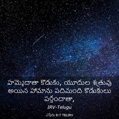 Picture 03 - ఎస్తేరు 9:7 TELIRV - హమ్మెదాతా కొడుకు, - Bible Verse Picture