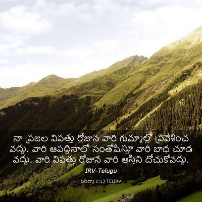 Picture 03 - ఓబద్యా 1:13 TELIRV - నా ప్రజల విపత్తు - Bible Verse Picture