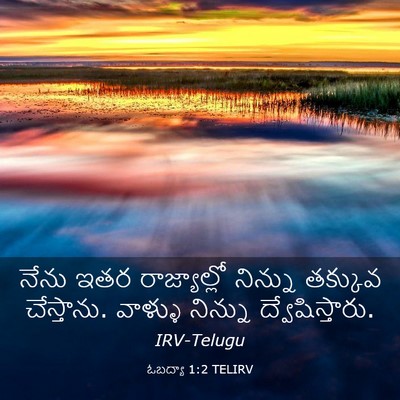Picture 03 - ఓబద్యా 1:2 TELIRV - నేను ఇతర - Bible Verse Picture