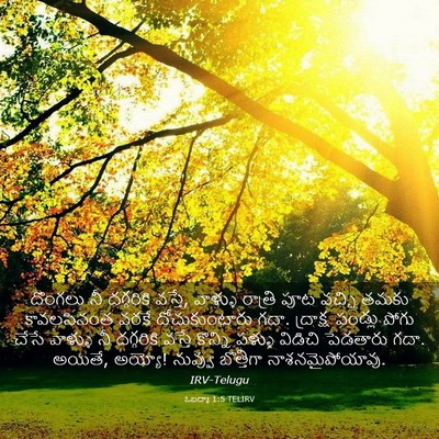 Picture 03 - ఓబద్యా 1:5 TELIRV - దొంగలు నీ - Bible Verse Picture