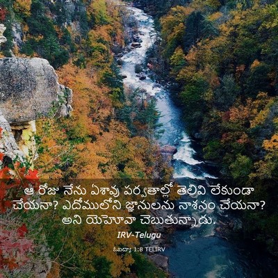 Picture 03 - ఓబద్యా 1:8 TELIRV - ఆ రోజు నేను ఏశావు - Bible Verse Picture