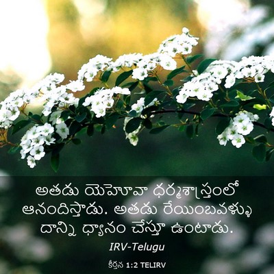 Picture 03 - కీర్తన 1:2 TELIRV - అతడు యెహోవా - Bible Verse Picture