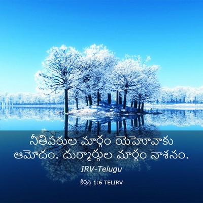 Picture 03 - కీర్తన 1:6 TELIRV - నీతిపరుల మార్గం - Bible Verse Picture