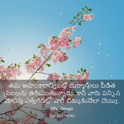 Picture 03 - కీర్తన 10:2 TELIRV - తమ - Bible Verse Picture