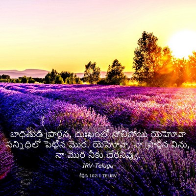 Picture 03 - కీర్తన 102:1 TELIRV - బాధితుడి - Bible Verse Picture