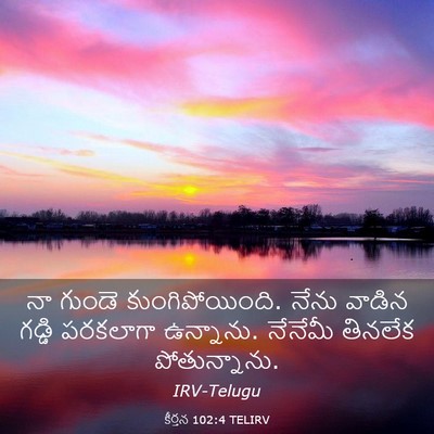Picture 03 - కీర్తన 102:4 TELIRV - నా గుండె - Bible Verse Picture