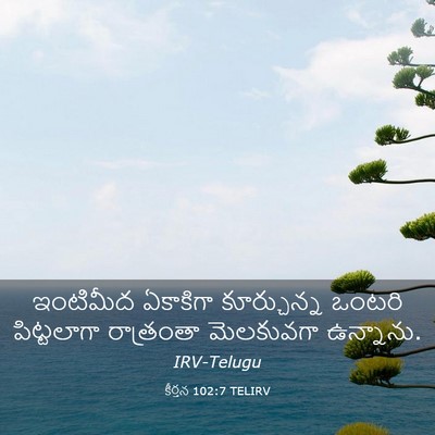 Picture 03 - కీర్తన 102:7 TELIRV - ఇంటిమీద ఏకాకిగా - Bible Verse Picture