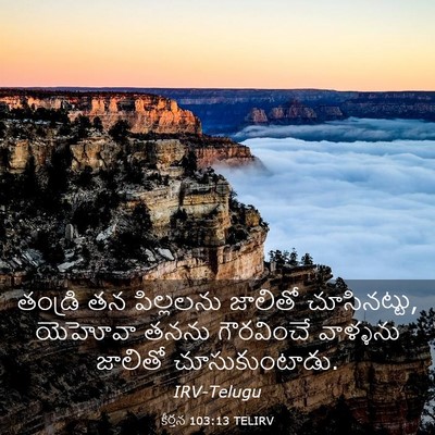 Picture 03 - కీర్తన 103:13 TELIRV - తండ్రి తన - Bible Verse Picture